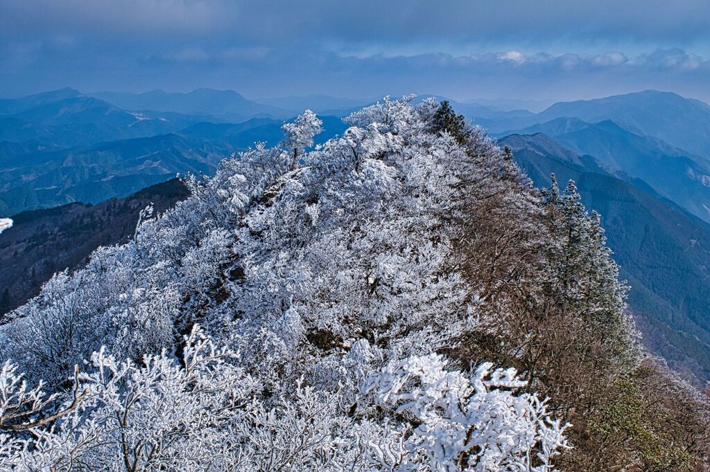 樹氷の舞Ⅰ