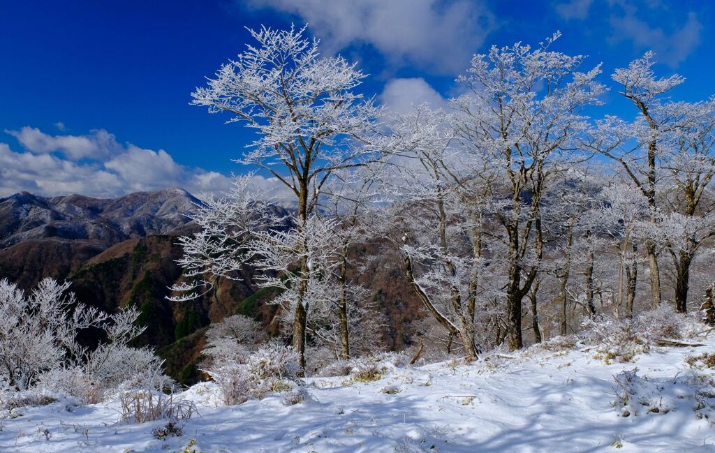 丹澤雪景Ⅱ