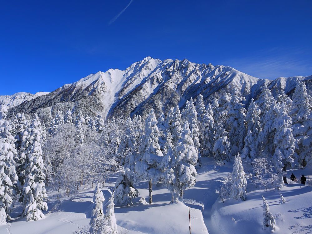 西穂高岳