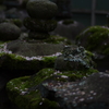 桜つもる灯籠