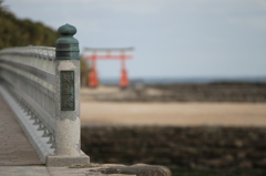 青島神社
