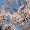 敷島公園 