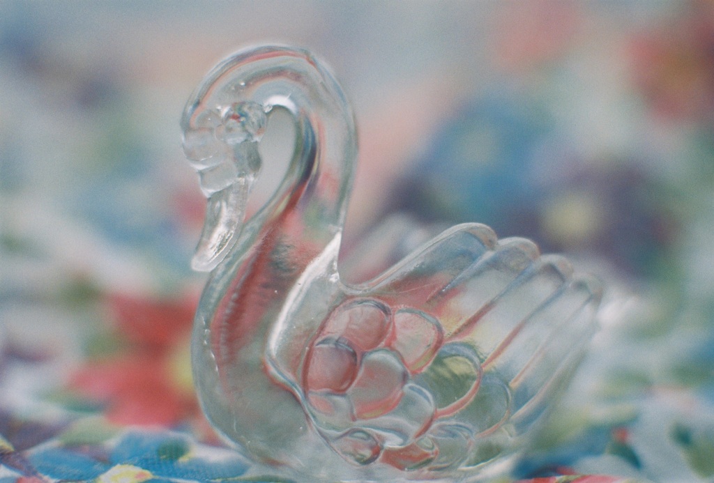 flower swan