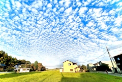 ひつじ雲