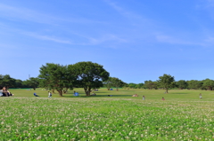 ひたち海浜公園