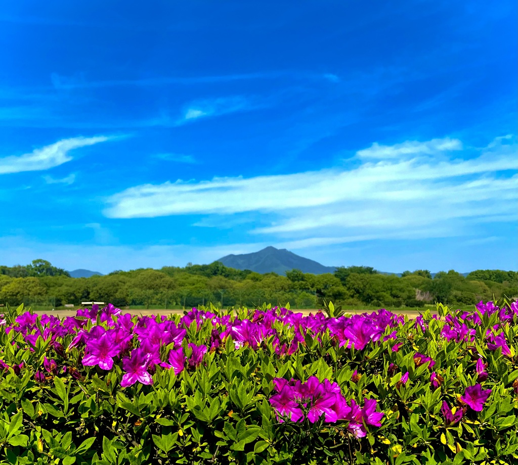 筑波山