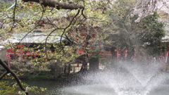 井之頭公園