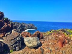 海