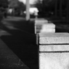 DSCF3971(1)