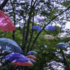 七色の傘