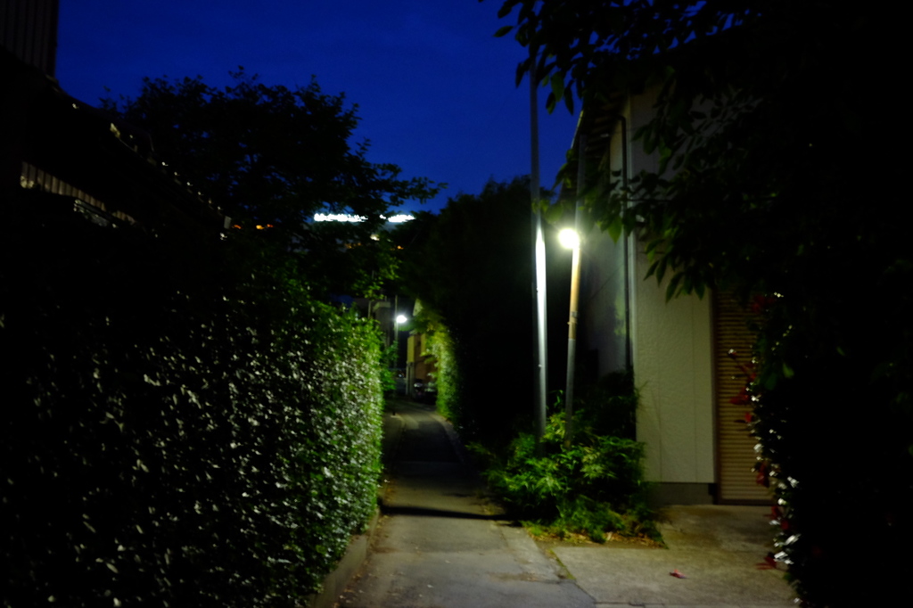 夜の帳