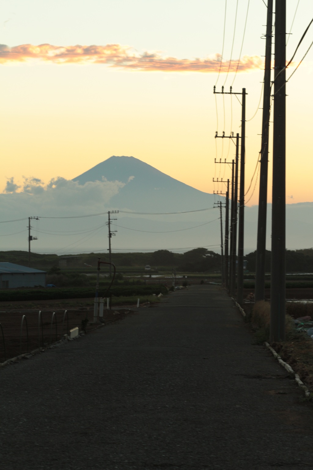 日本一へ