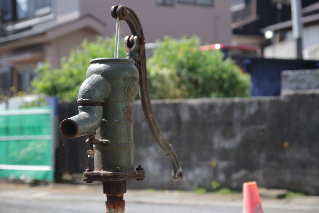三浦市