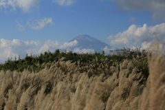 箱根