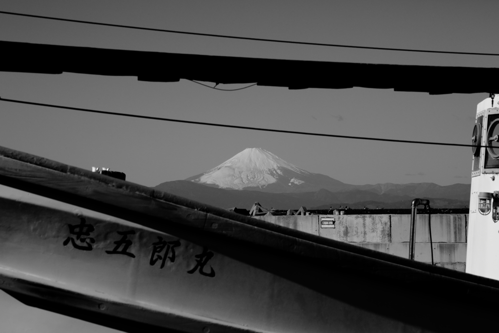 長井港