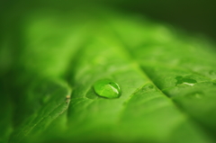 雨模様