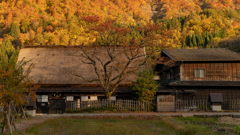 白川郷
