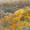 トンネルを抜け見上げた風景