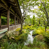 嵐山天龍寺