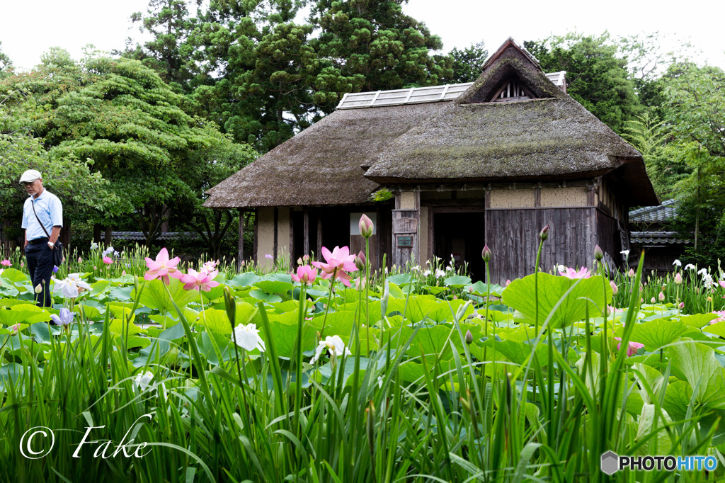 豪農の館（北方文化博物館・吉ヶ平民家）