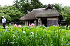豪農の館（北方文化博物館・吉ヶ平民家）