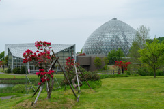 植物園