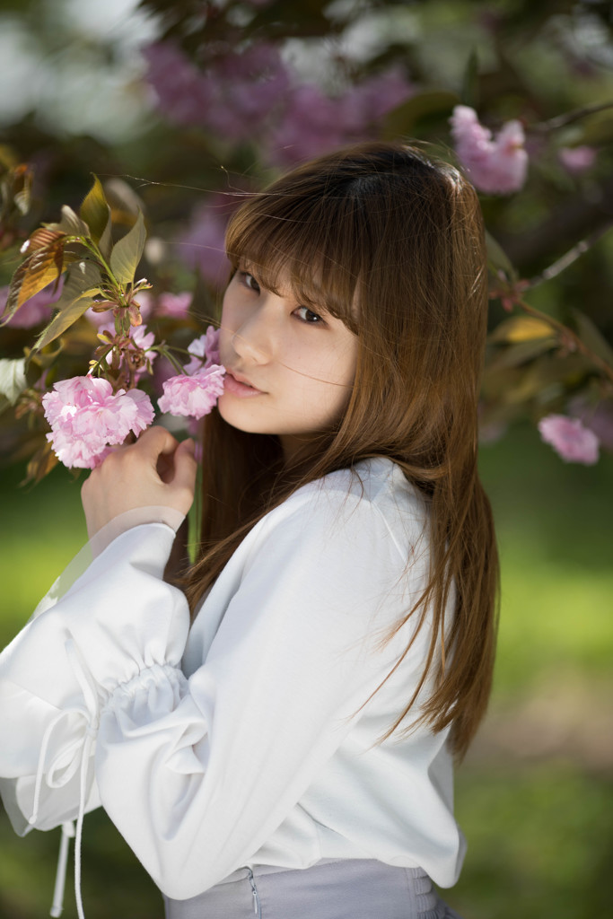 Miss Photogenic Ⅳ