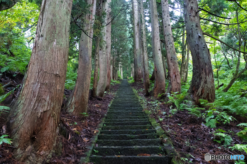 山の神への階段