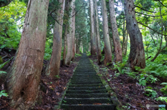 山の神への階段