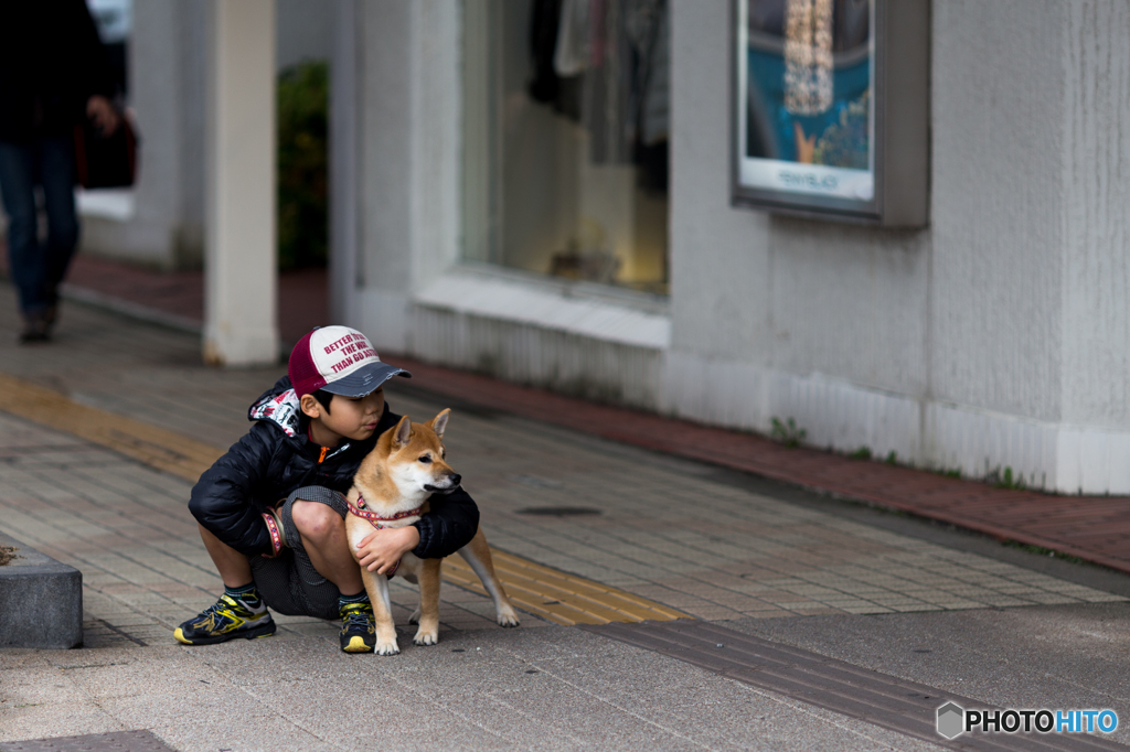 犬と少年