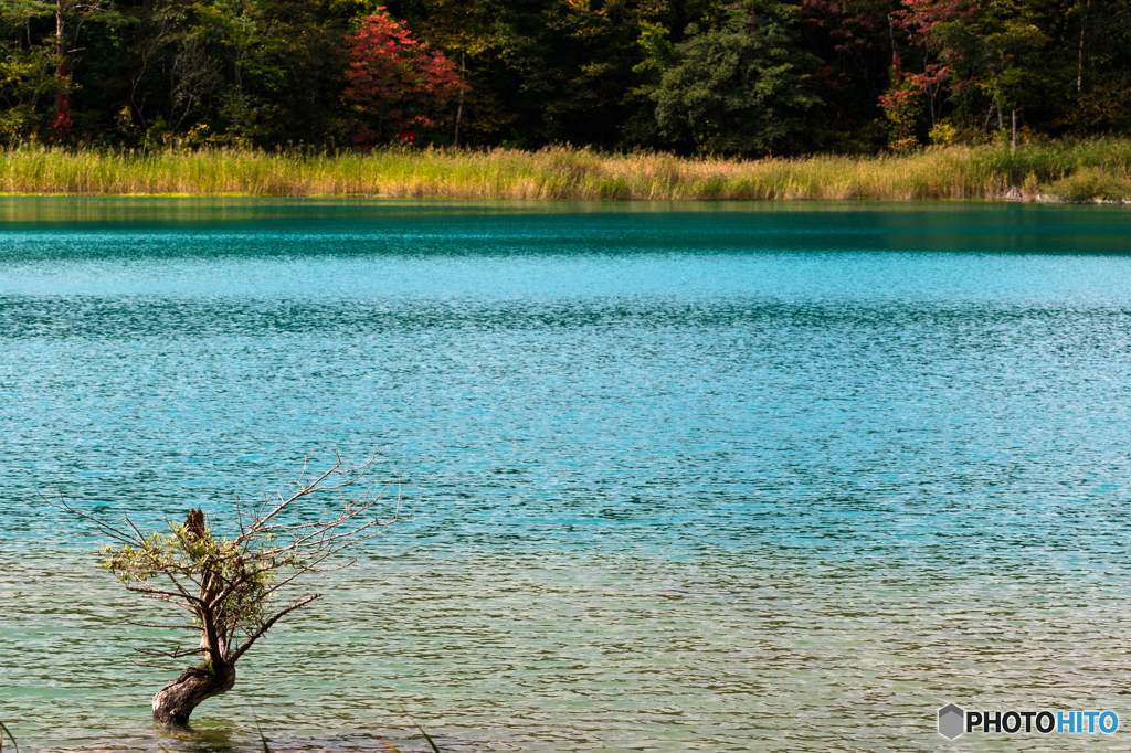 Blue Marsh 2