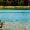 Blue Marsh 2