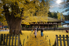 新宮熊野神社の風景