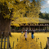 新宮熊野神社の風景