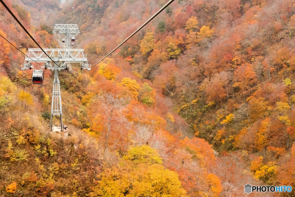 ゴンドラから見た風景Ⅲ（谷川岳）