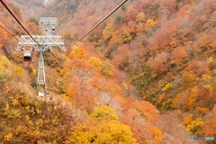 ゴンドラから見た風景Ⅲ（谷川岳）