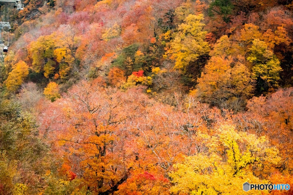 ゴンドラから見た風景Ⅰ（谷川岳ロープウェイ）