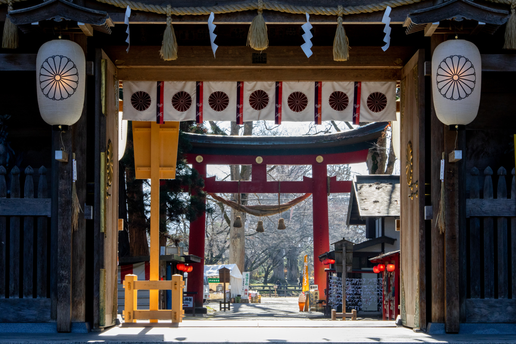 光さす鳥居