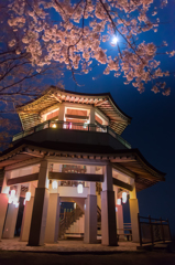 夜桜