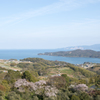 瀬戸内の春