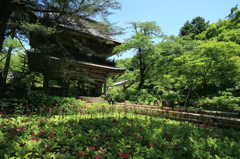 吉祥寺　山門