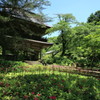 吉祥寺　山門