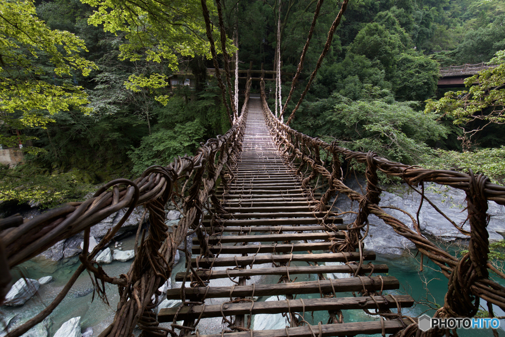 祖谷のかずら橋