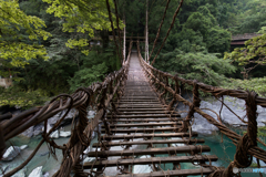 祖谷のかずら橋