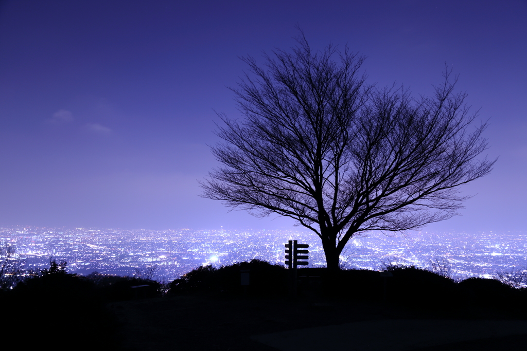 光の丘 by arema21 (ID:6011423) 写真共有サイトPHOTOHITO