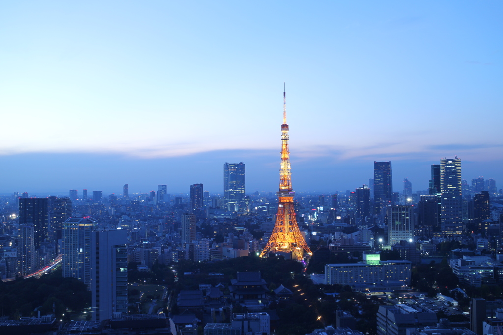 東京タワーのたおやかな夕暮れ