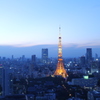 東京タワーのたおやかな夕暮れ