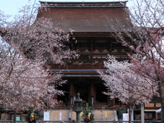 金峯山寺の春