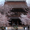 金峯山寺の春