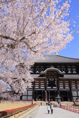 東大寺の春